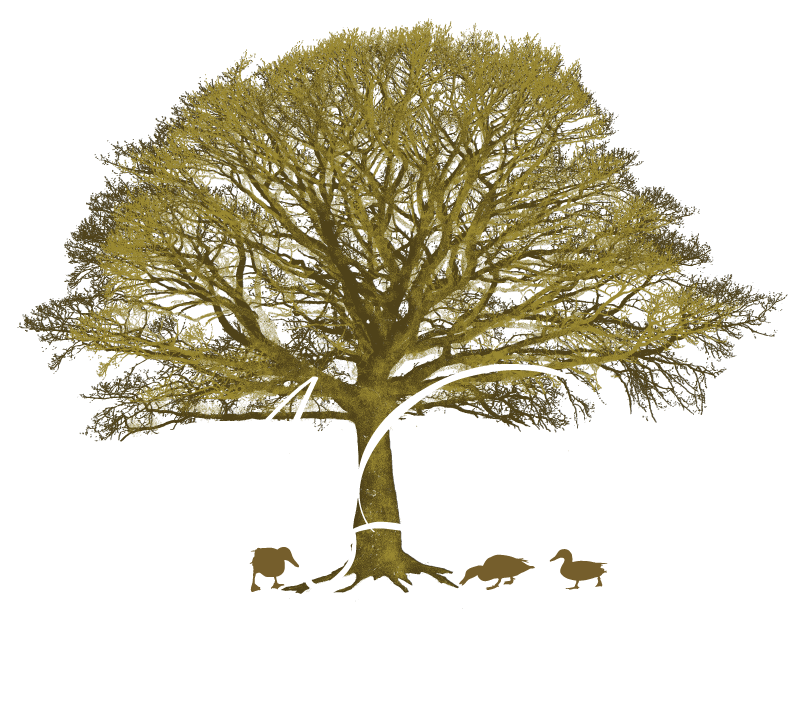 Missy Robertson logo